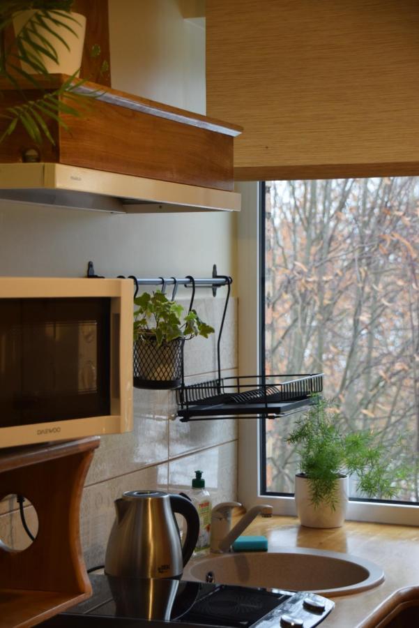 Parka Apartamenti Кулдига Экстерьер фото